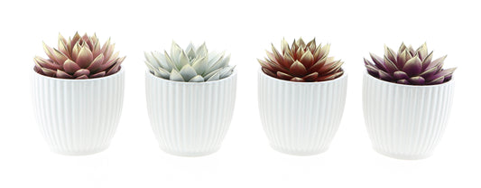 Design pot 2 colors love mix 15cm 12cm Pot
