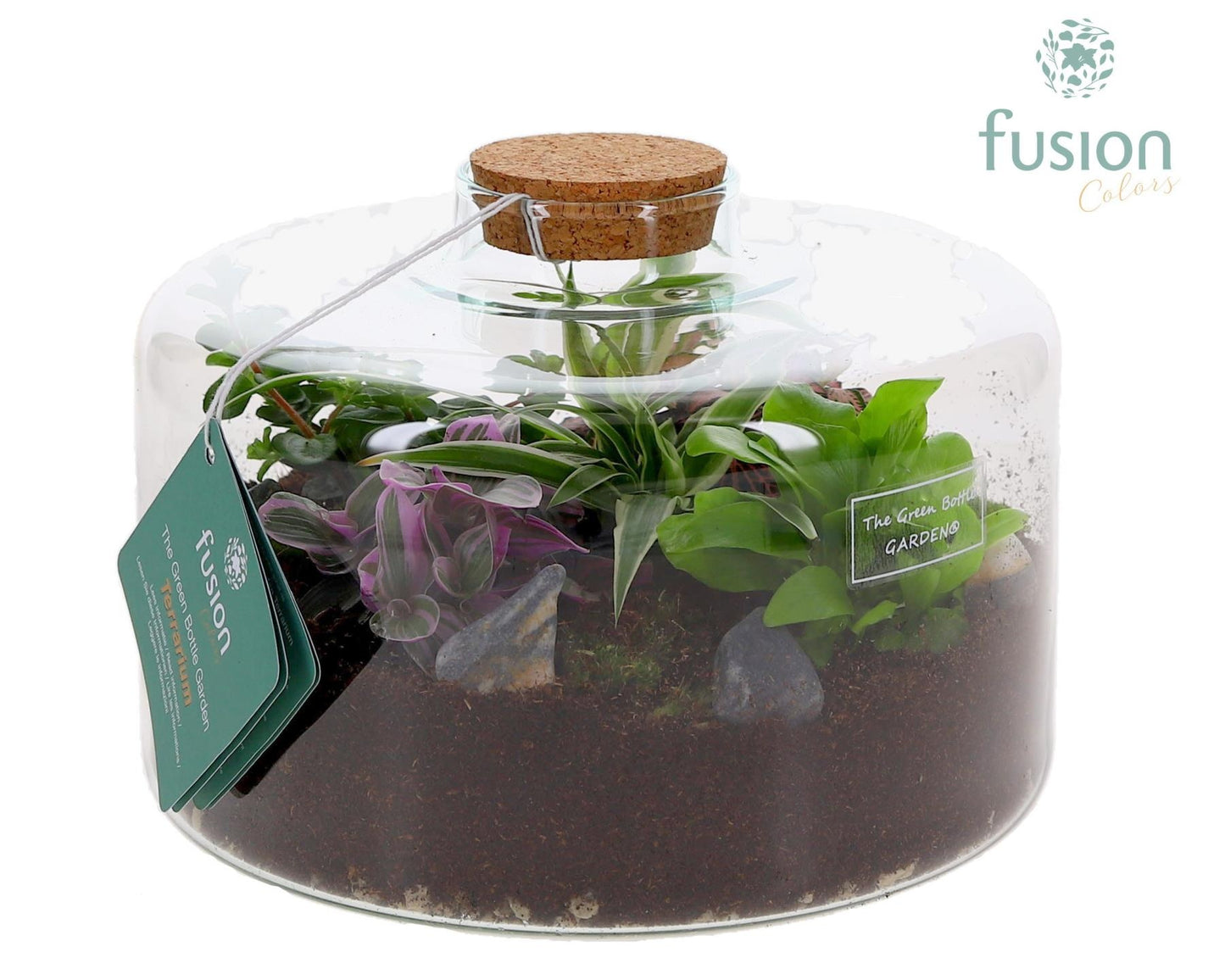 Green Bottle Kyra Large met Terrarium arrangement 20cm 23cm Pot