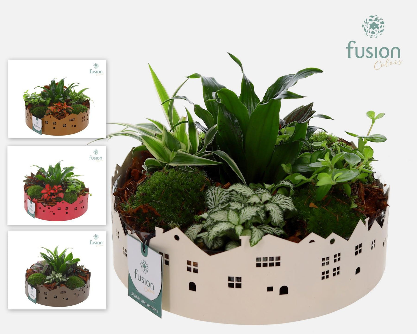 Fusioncolors BV Zinken schaal Huisjes Large met arrangement groene planten 5pp Pack of 2