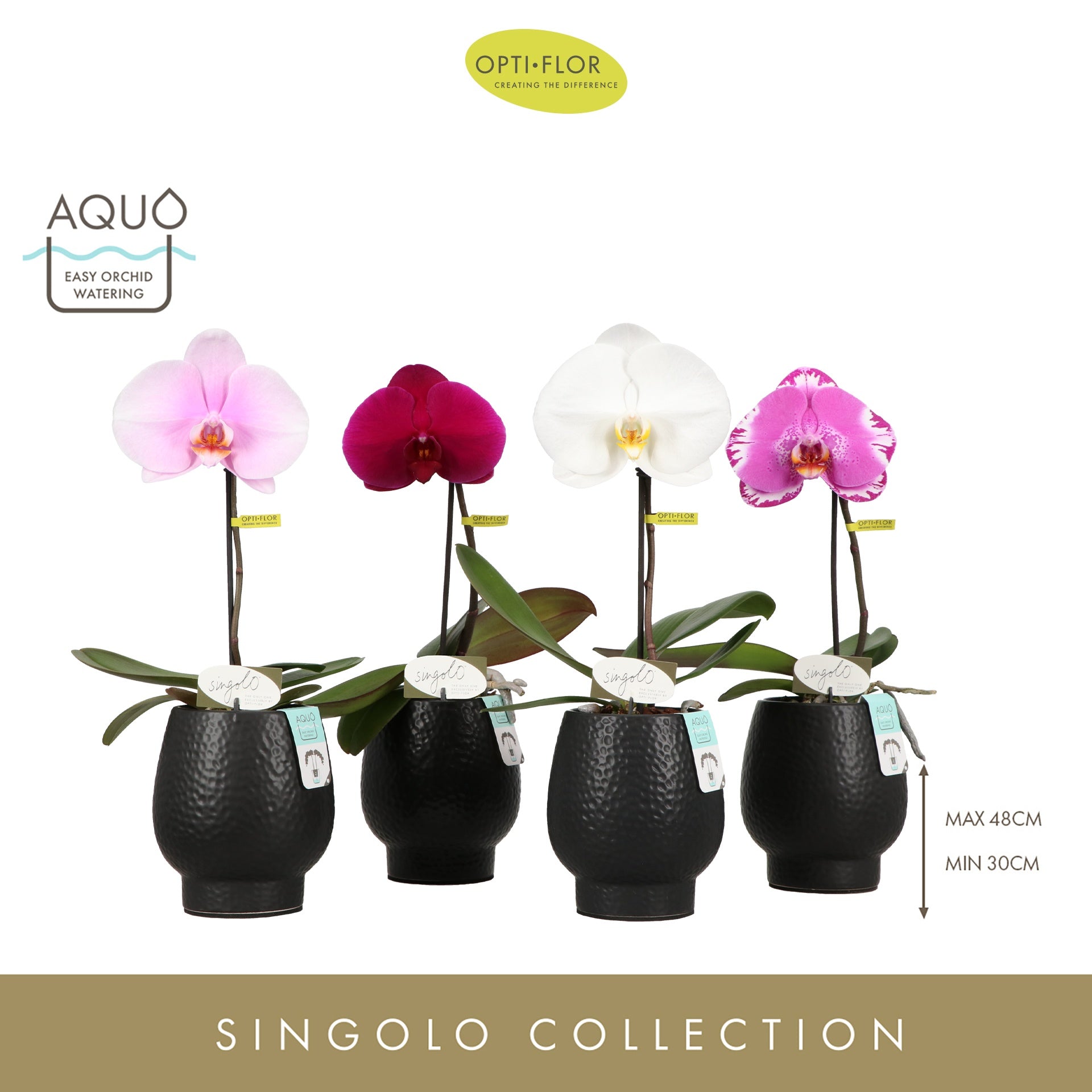 Opti-Flor Phalaenopsis Singolo mix Pack of 4