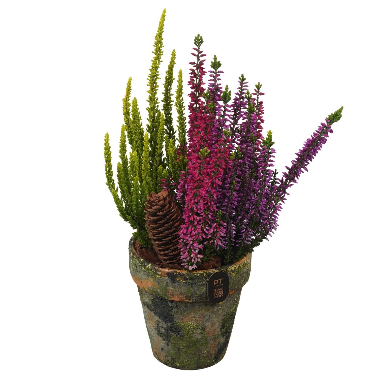 Outdoor arrangement 30cm 10cm Pot