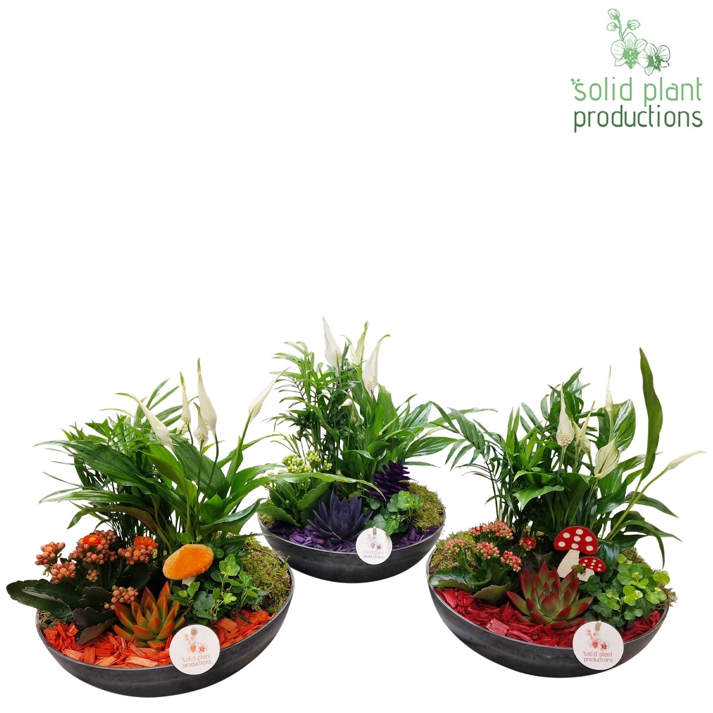 Solid Plant Productions SCE011 Artstone Autumn Mix Pack of 1