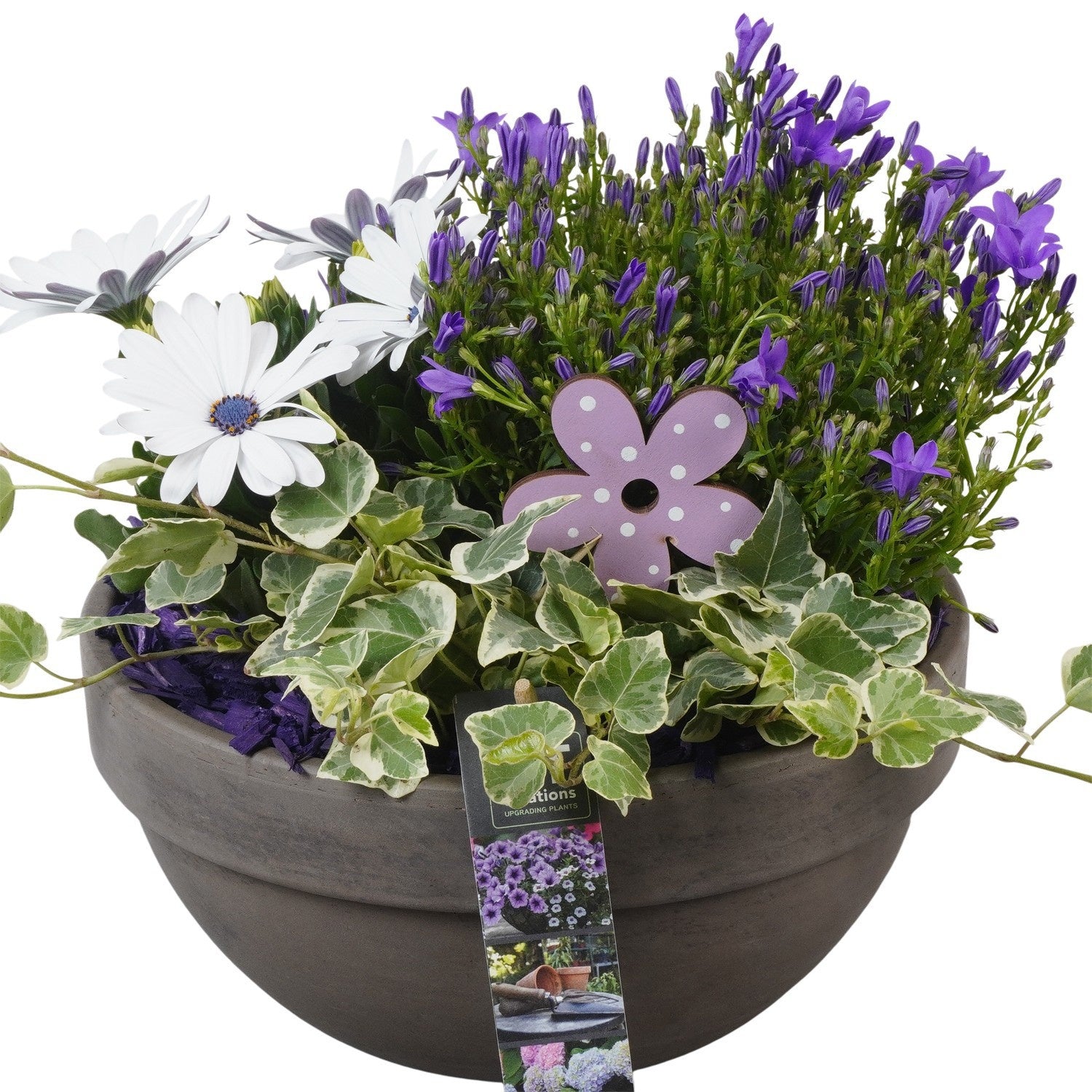 Outdoor arrangement 26cm 23cm Pot