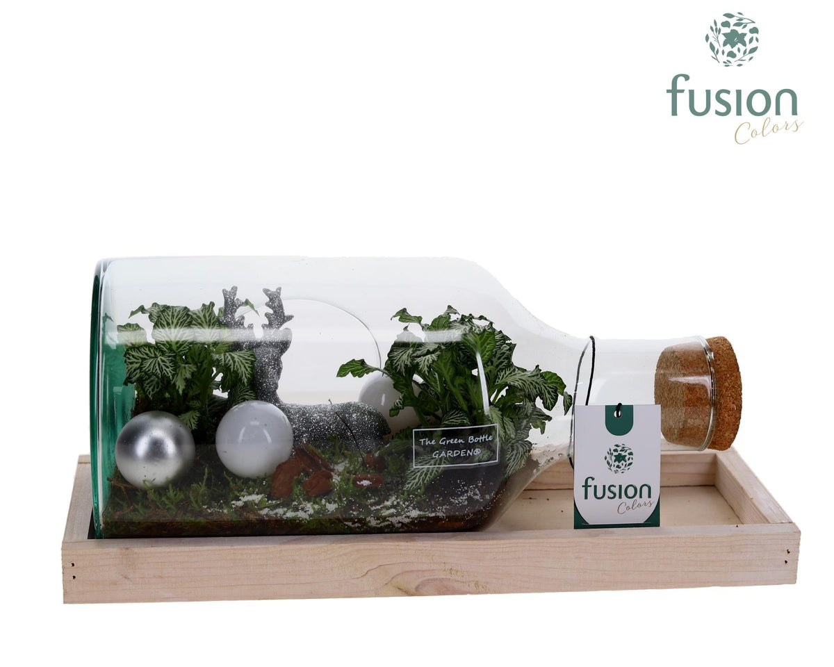 Green Bottle Fles Small liggend Kerst met Arrangement 20cm 38cm Pot