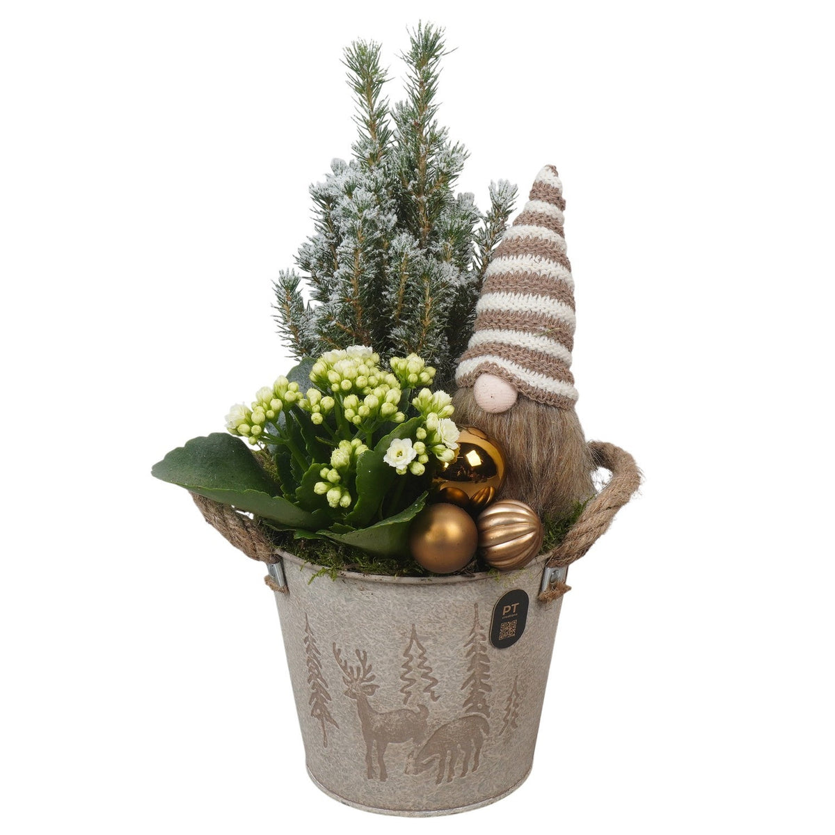 Christmas arrangement 36cm 15cm Pot