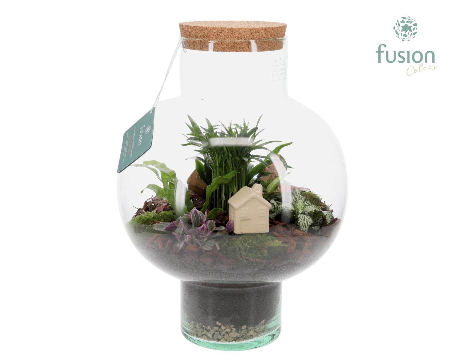 Green Bottle Laura Large met Terrarium arrangement 43cm 31cm Pot