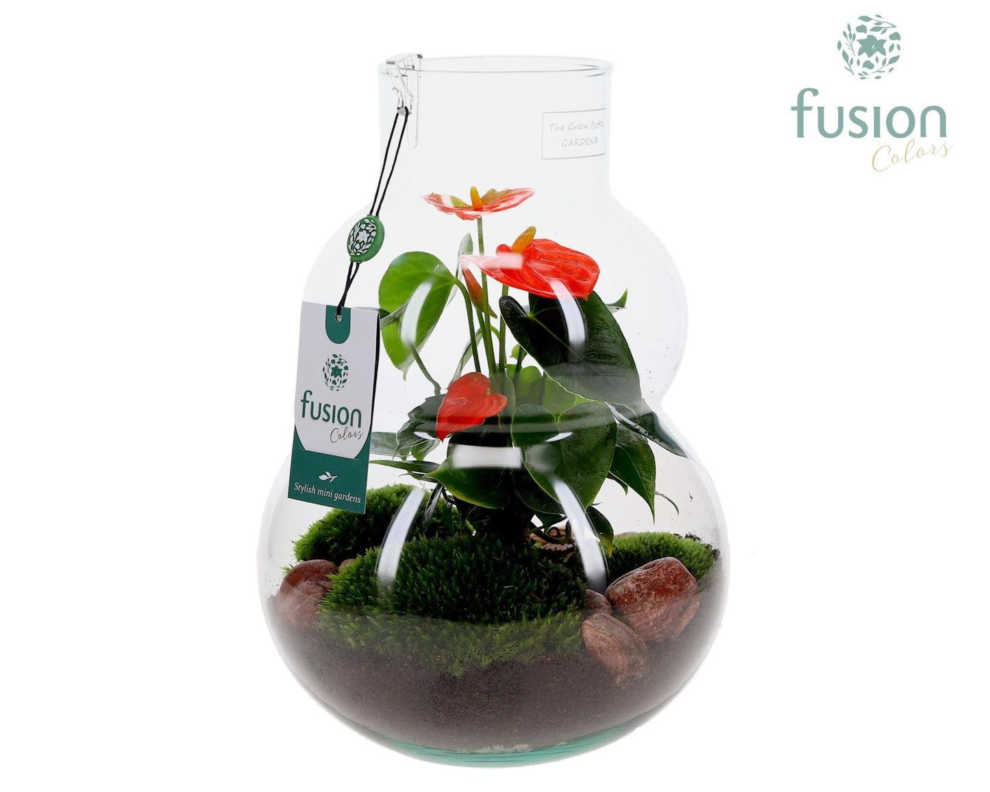 Fusioncolors BV Green Bottle Olaf Medium met Anthurium Pack of 2
