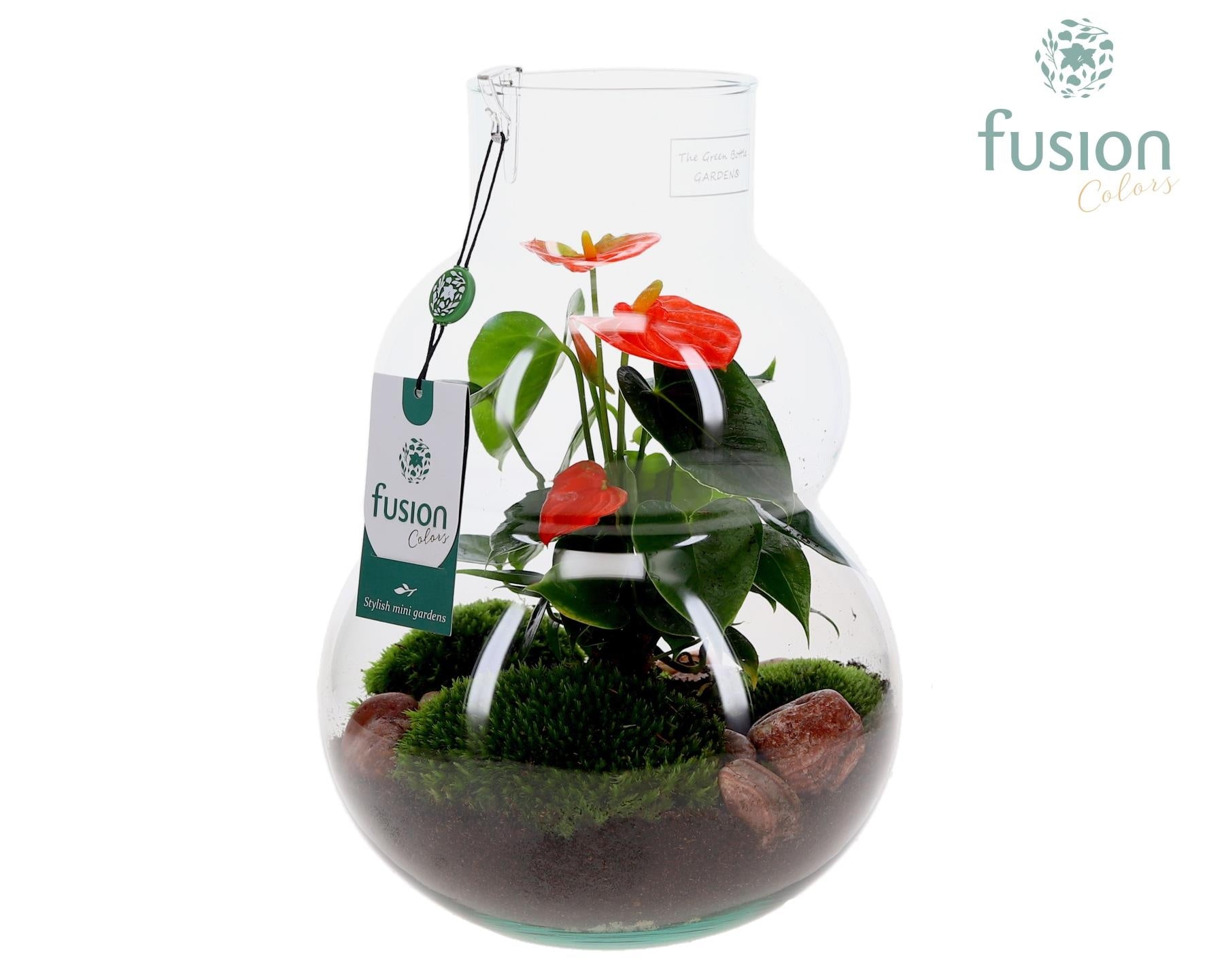 Fusioncolors BV Green Bottle Olaf Medium met Anthurium Pack of 2