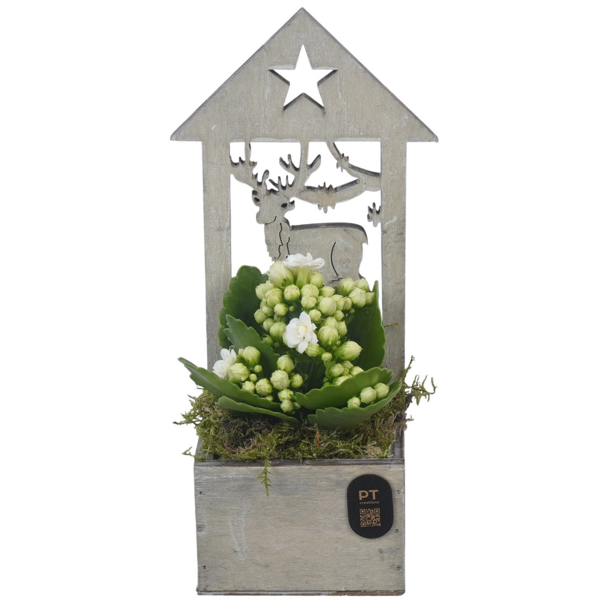 Christmas arrangement 24cm 9cm Pot