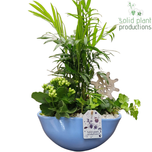 CH005 Evelyn Blue 40cm 25cm Pot