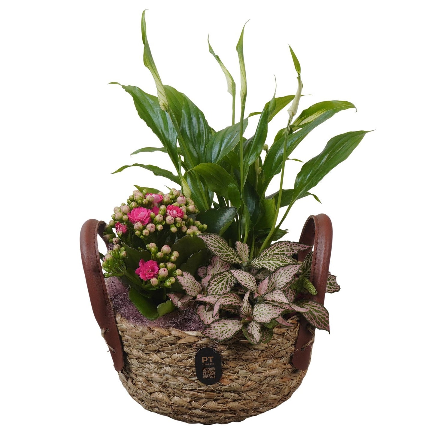 Indoor arrangement 34cm 15cm Pot