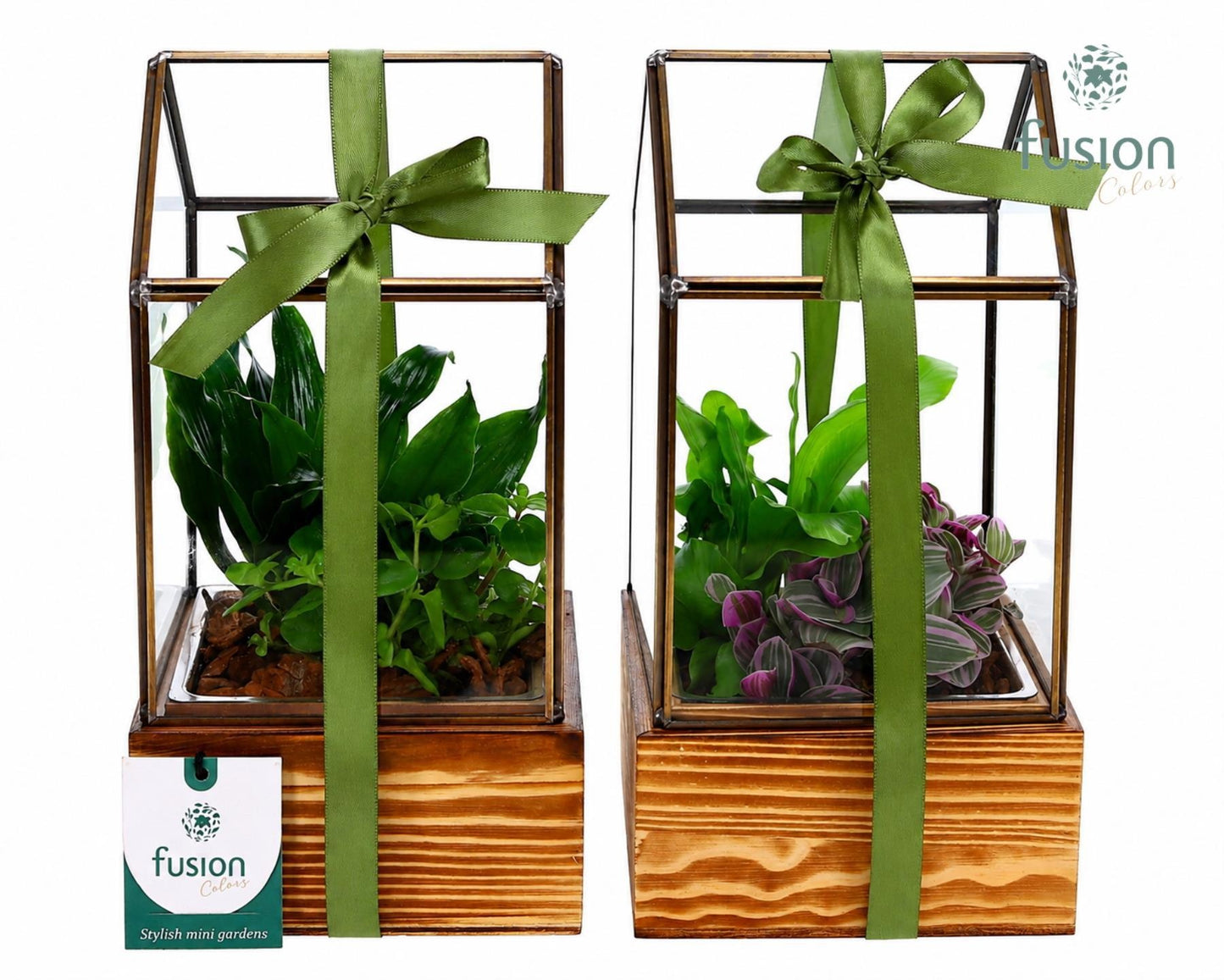 Glazen terrarium met op houten basis Medium met groenen planten 25cm 13cm Pot