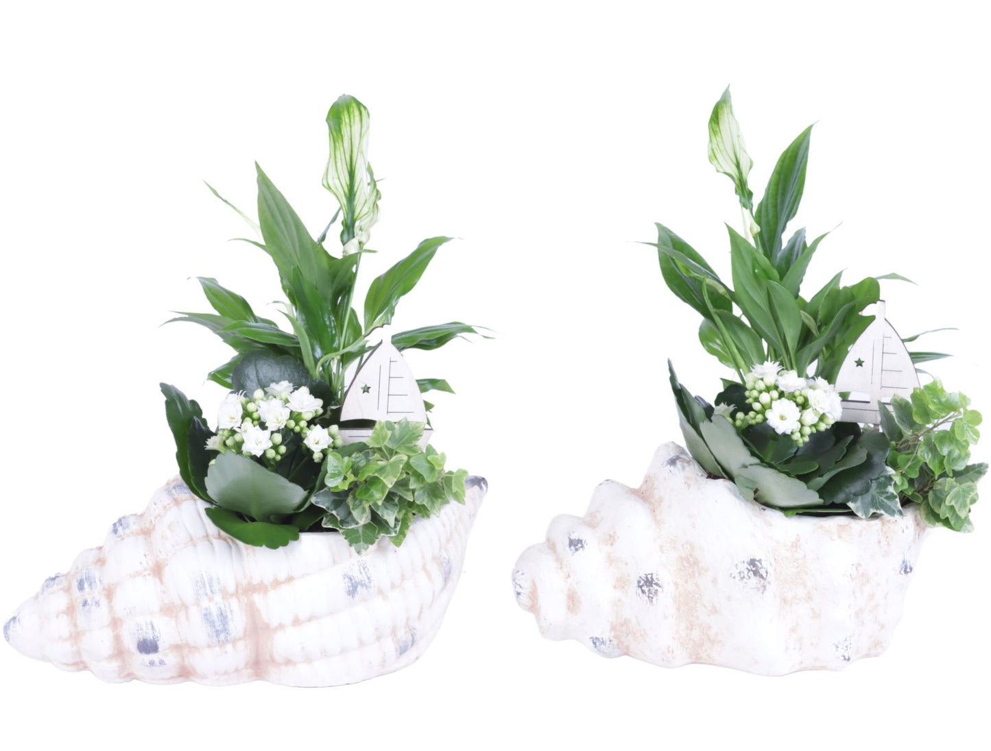 Indoor arrangement 35cm 26cm Pot