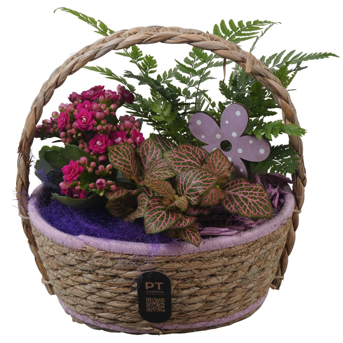 Indoor arrangement 25cm 20cm Pot