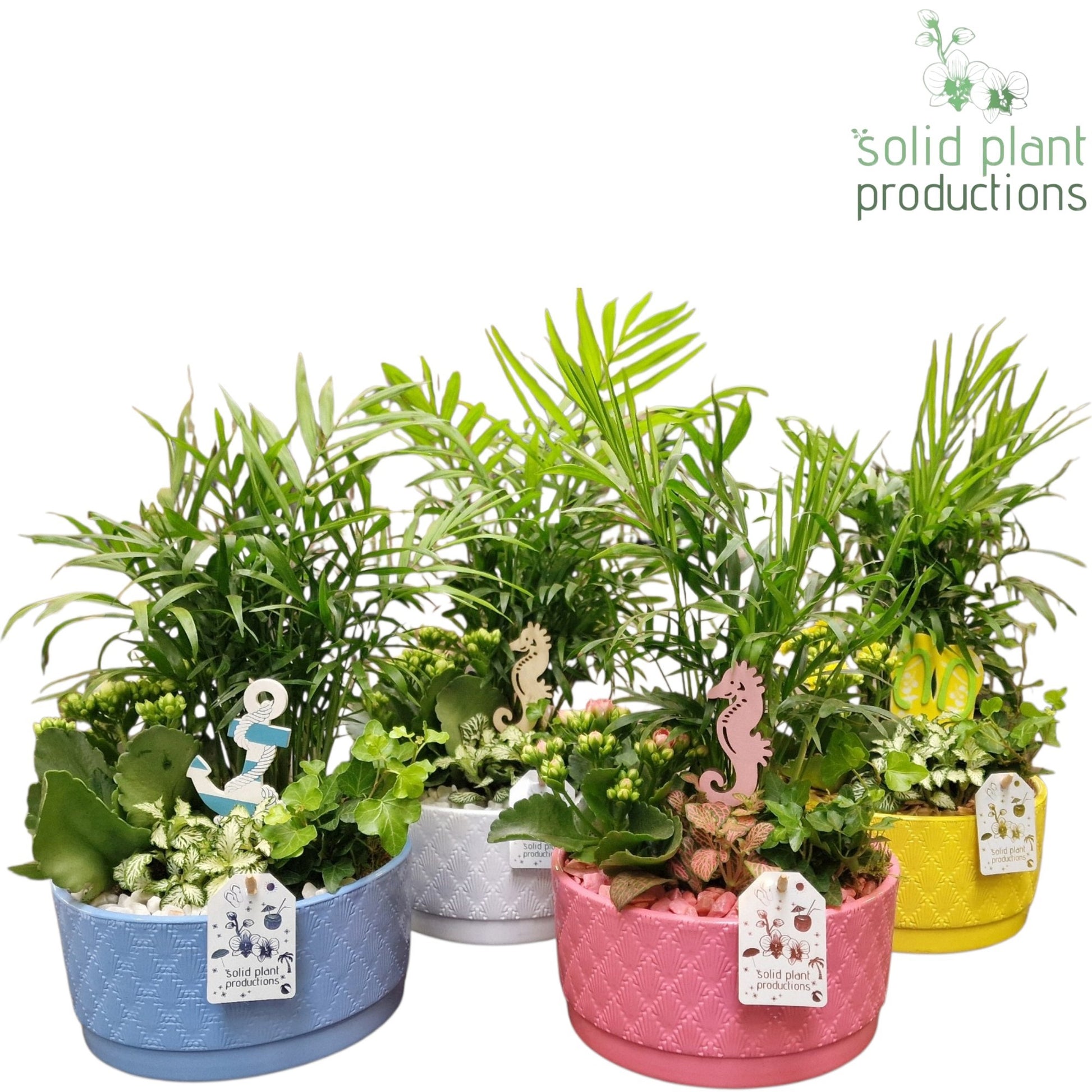 CH003 Loes Summer Mix 40cm 18cm Pot
