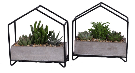 Succ. mix metal house 23cm 21cm Pot