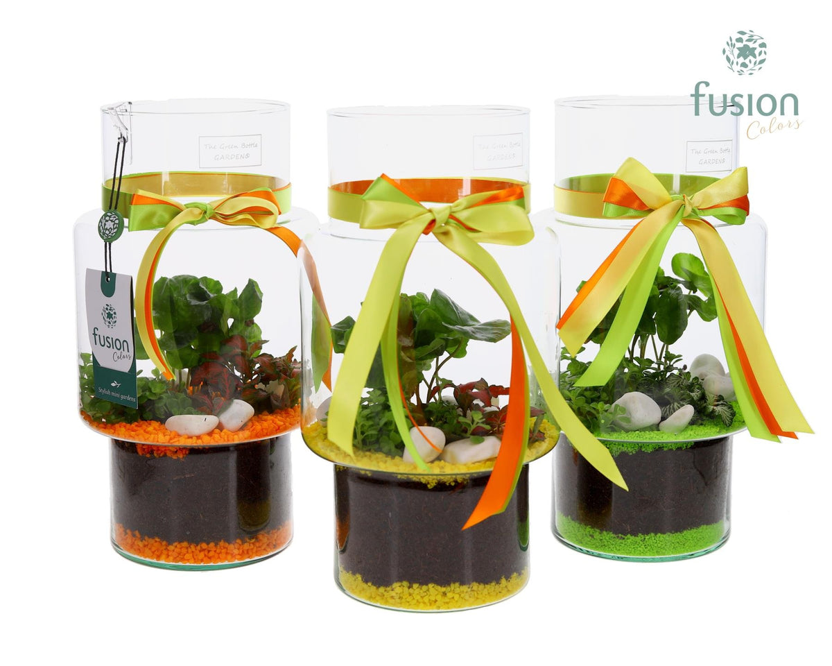 Green Bottle Sara Medium met Arrangement 29cm 16cm Pot