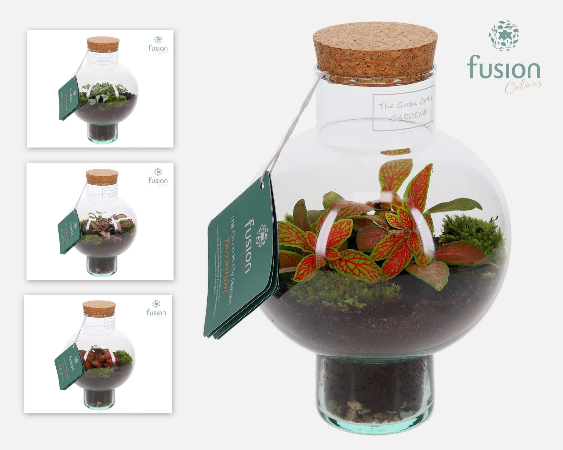 Green BottleLaura XSmall met Terrarium arrangement 20cm 15cm Pot