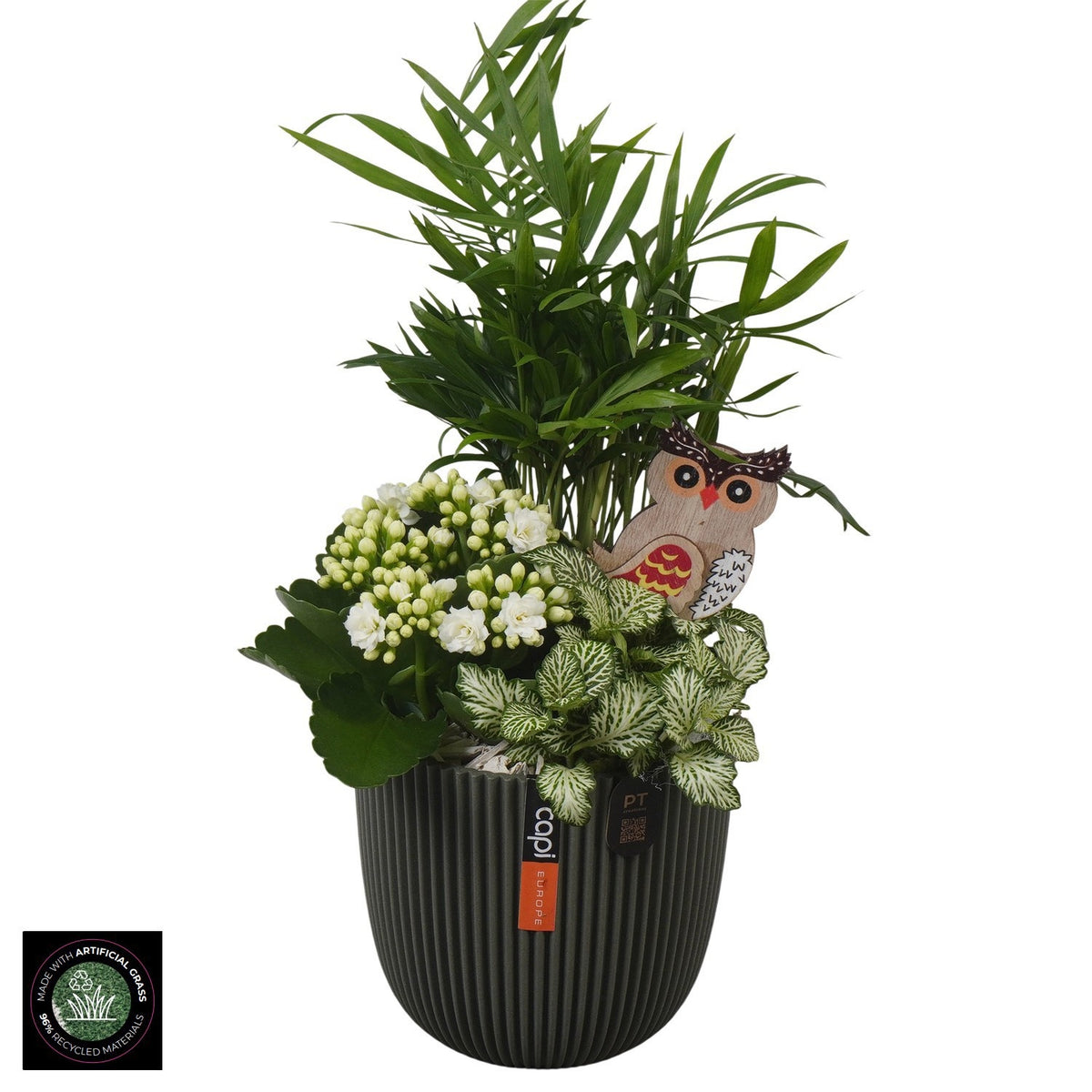 Indoor arrangement 33cm 13cm Pot