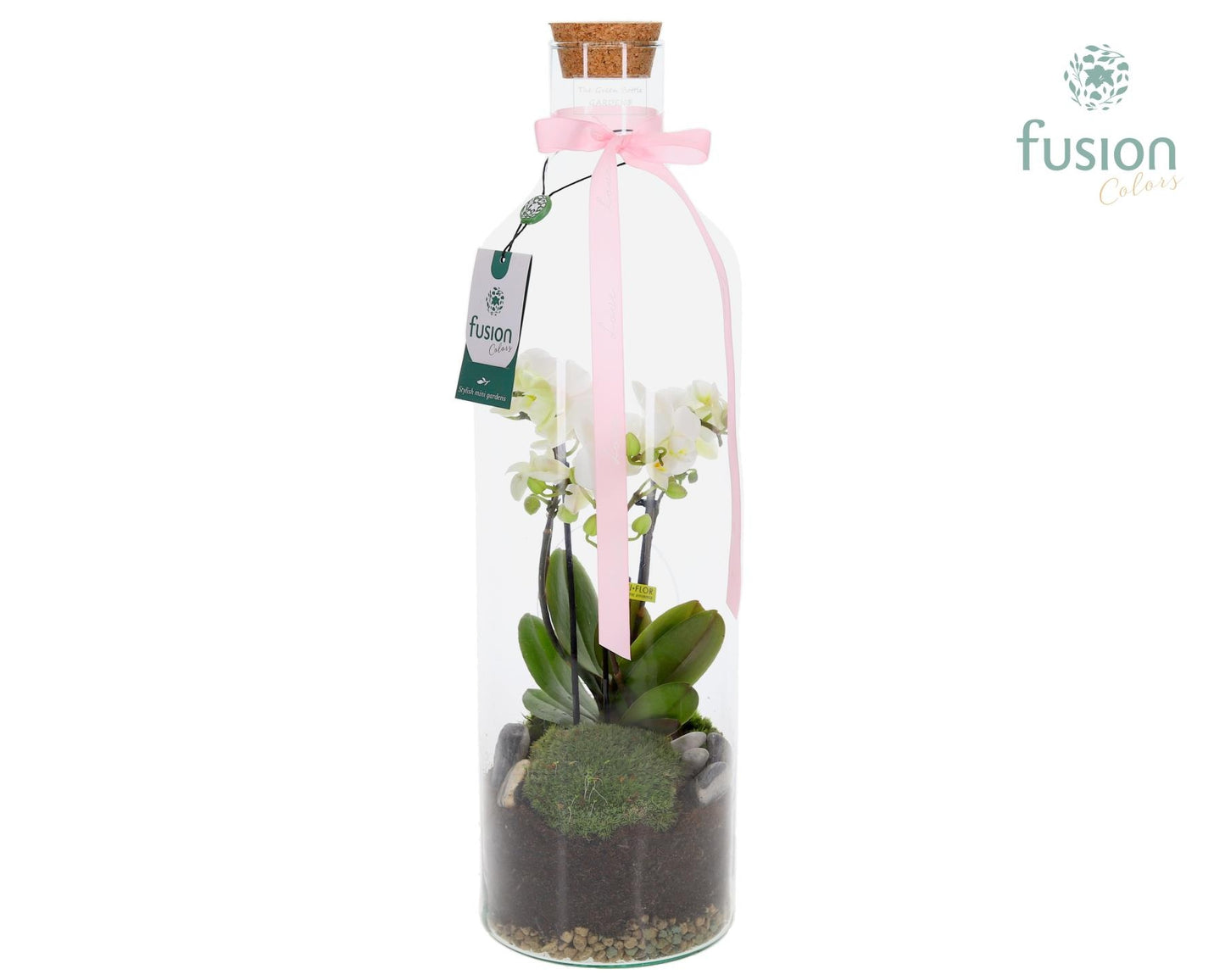 Green Bottle Fles Large met 4 tak Phalaenopsis 24 uurs levertijd 55cm 15cm Pot