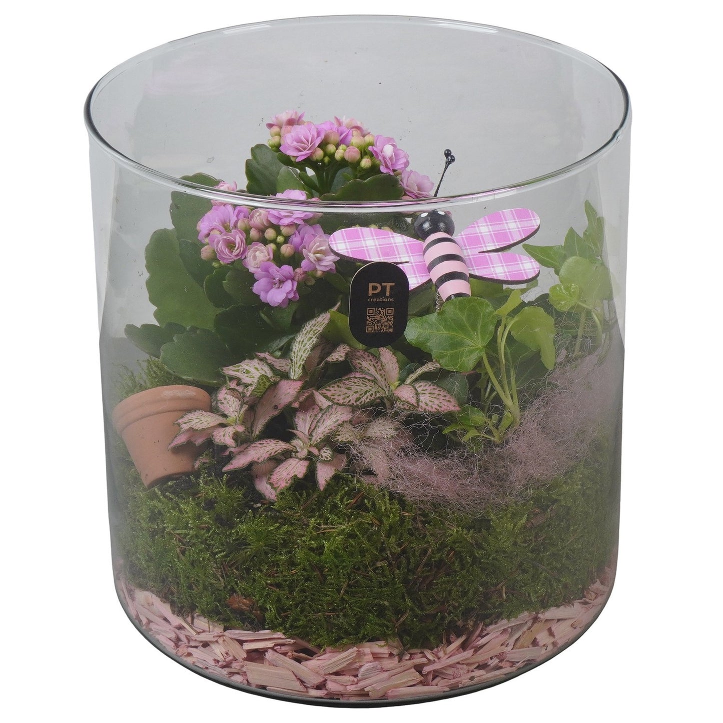 Indoor arrangement 20cm 19cm Pot