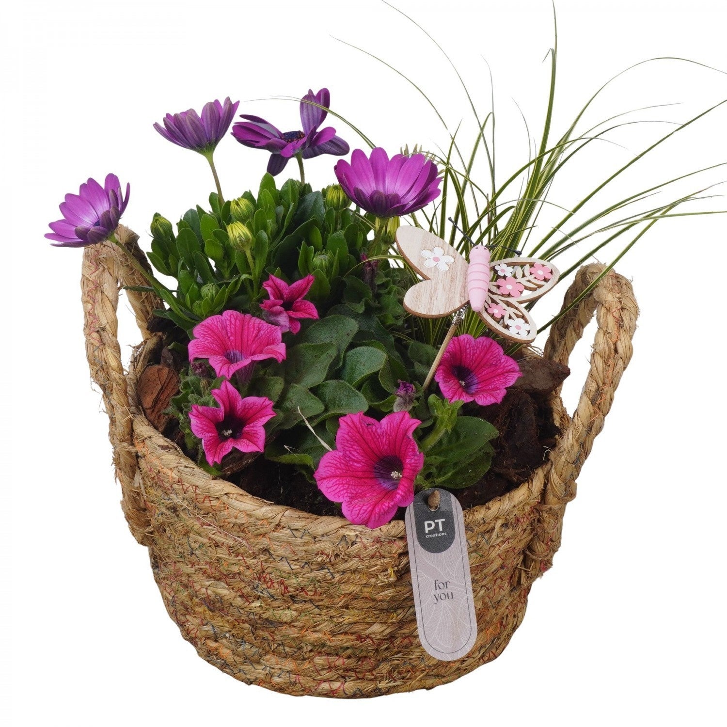 Outdoor arrangement 27cm 22cm Pot