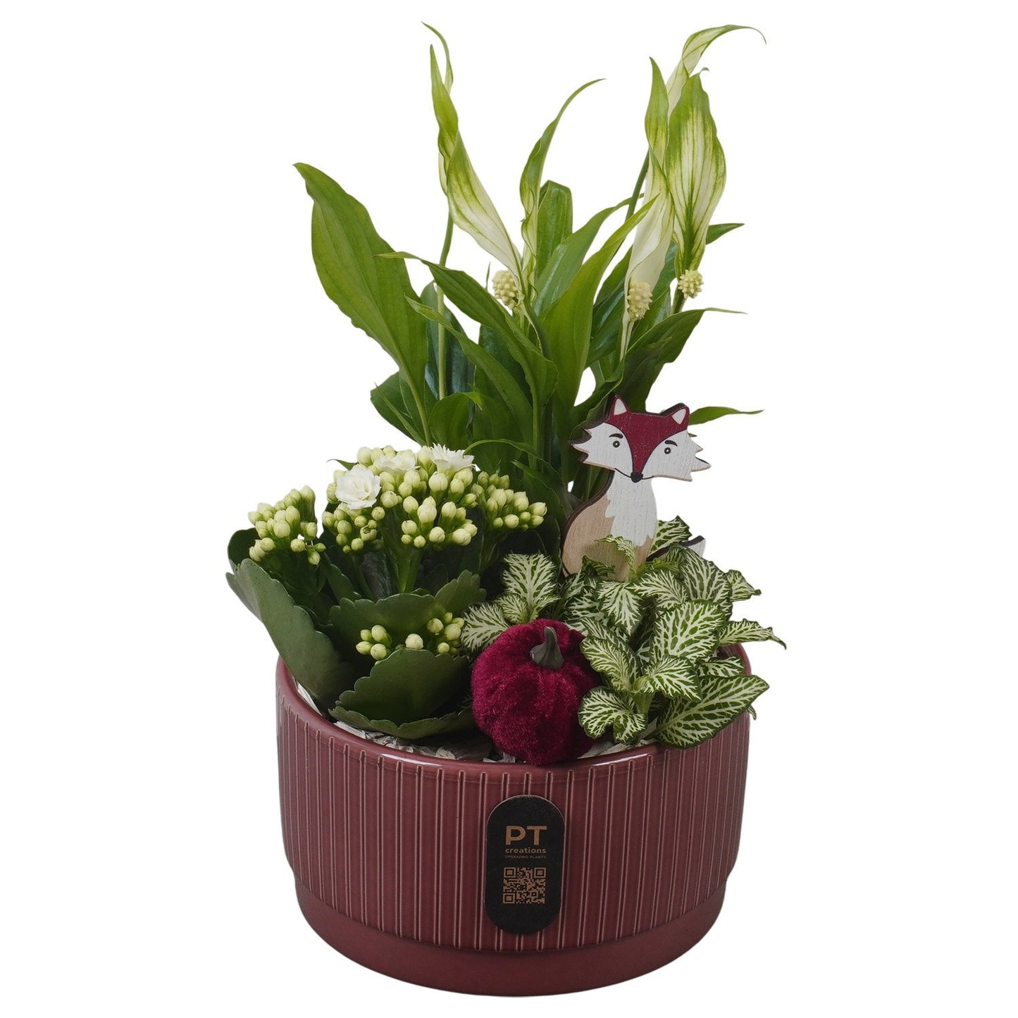 Indoor arrangement 28cm 16cm Pot
