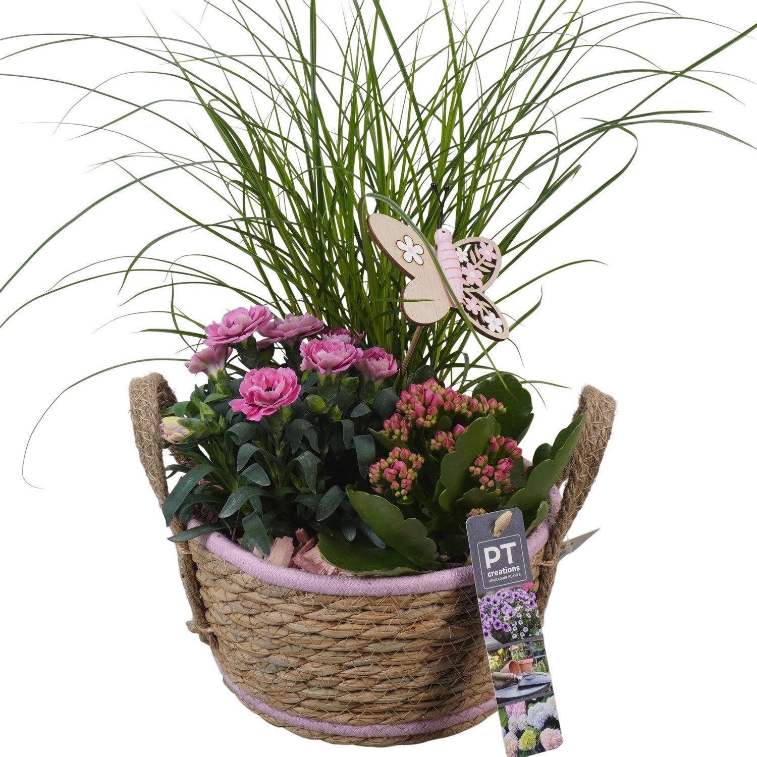 Outdoor arrangement 40cm 19cm Pot