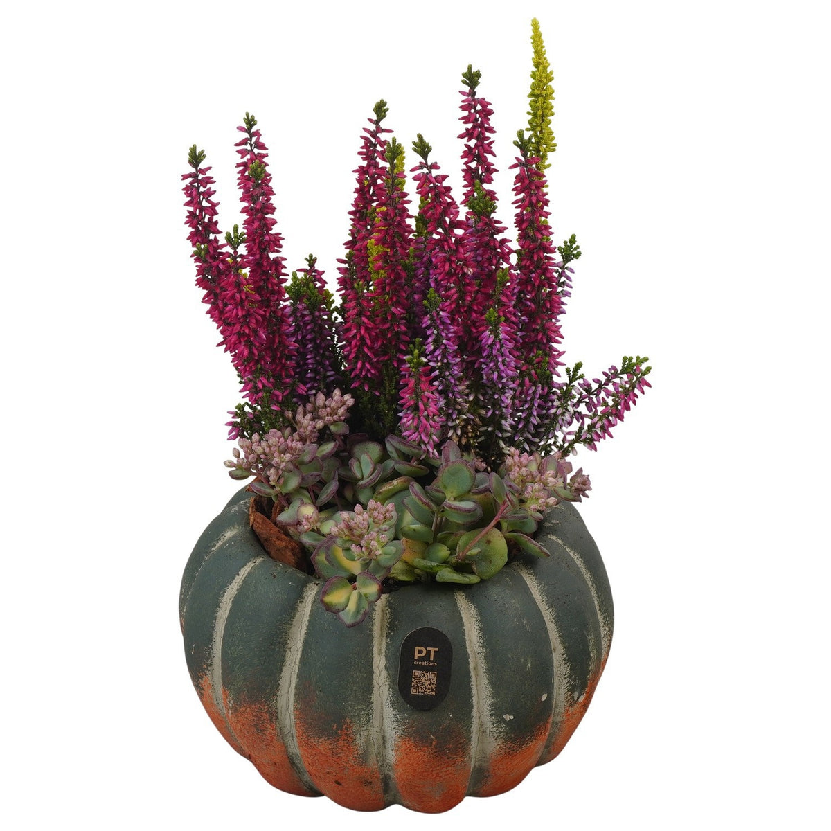 Outdoor arrangement 30cm 17cm Pot