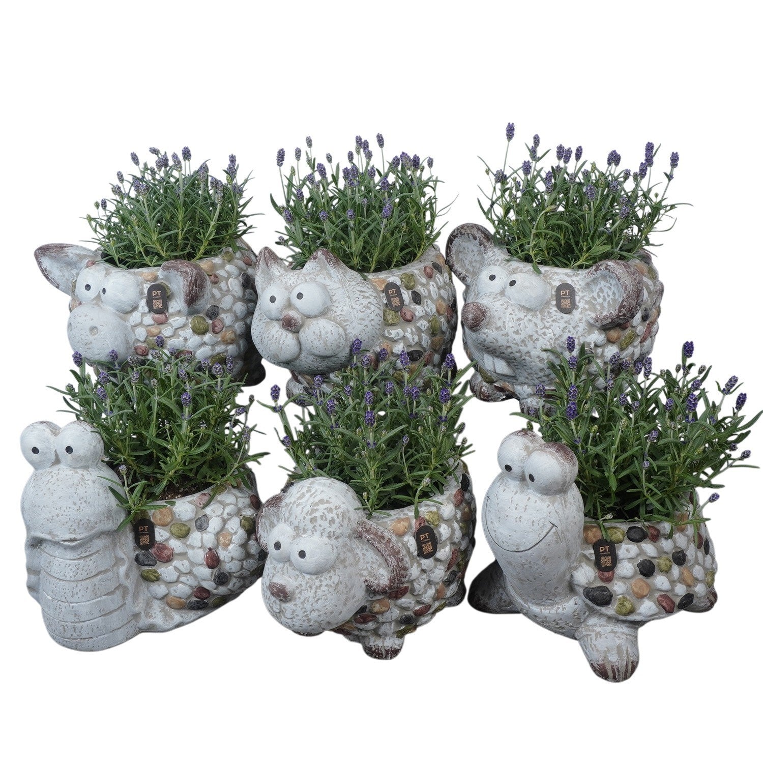 Outdoor arrangement 27cm 30cm Pot