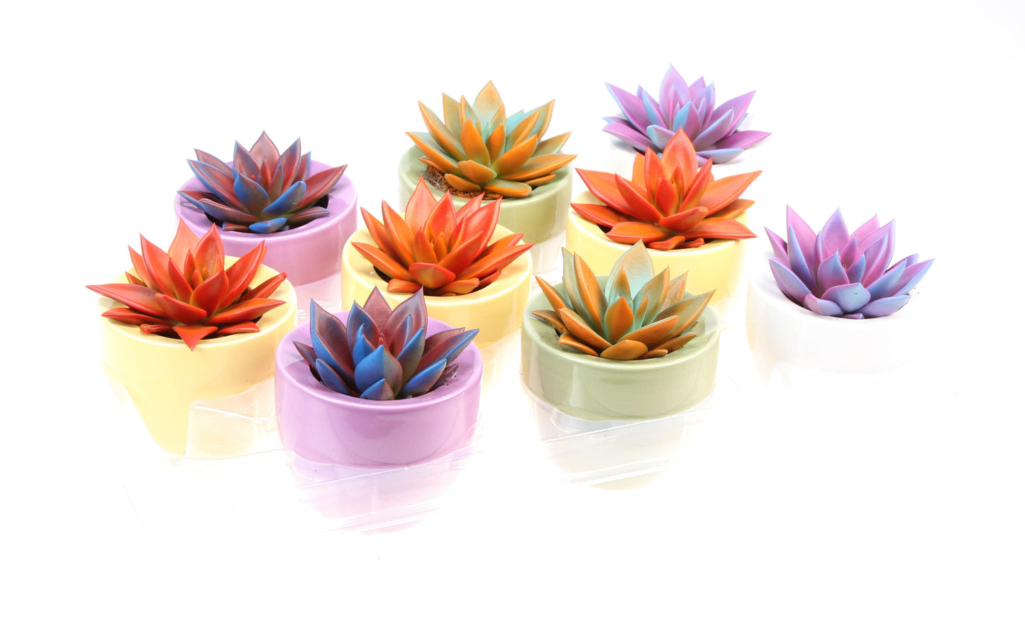 Rainbow ufo pot 10cm 8cm Pot