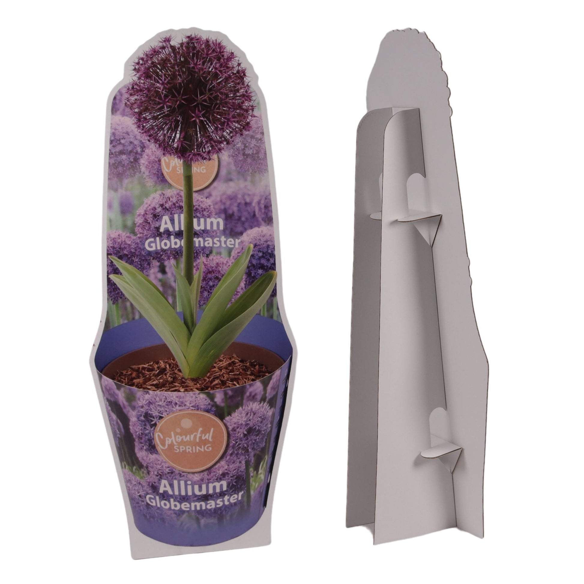 Streng Growers B.V. Ceramics Pack of 1