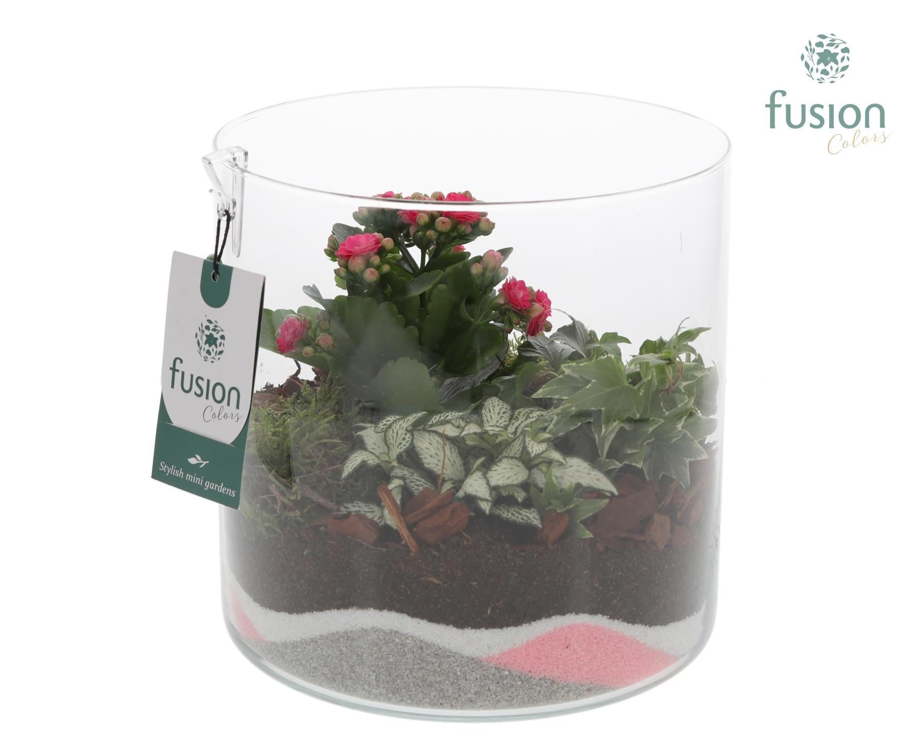 Glas Cilinder Lucille groot met roze arrangement 20cm 19cm Pot