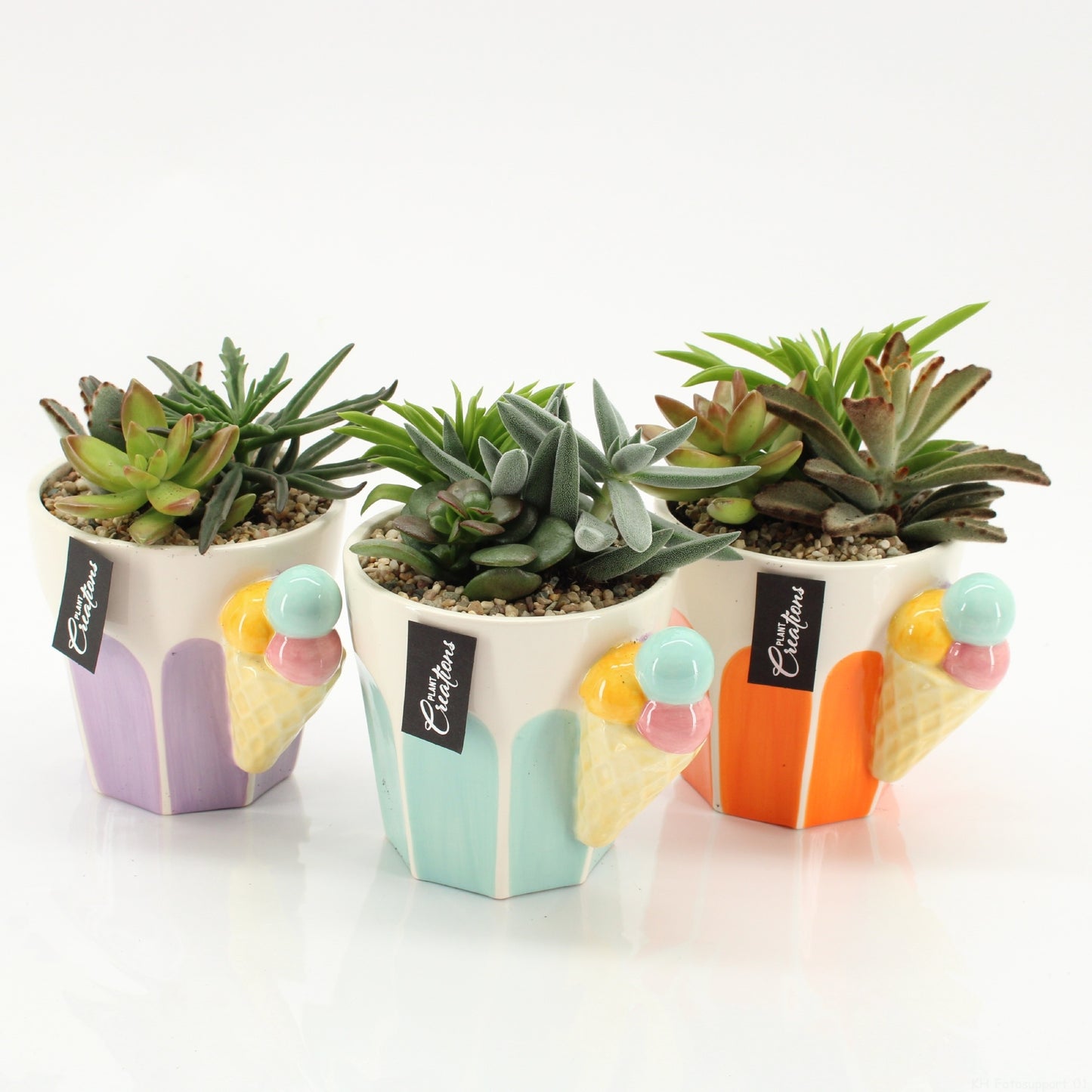 Mixt Creations BV SFCR-2610 Summer Beach Pack of 6