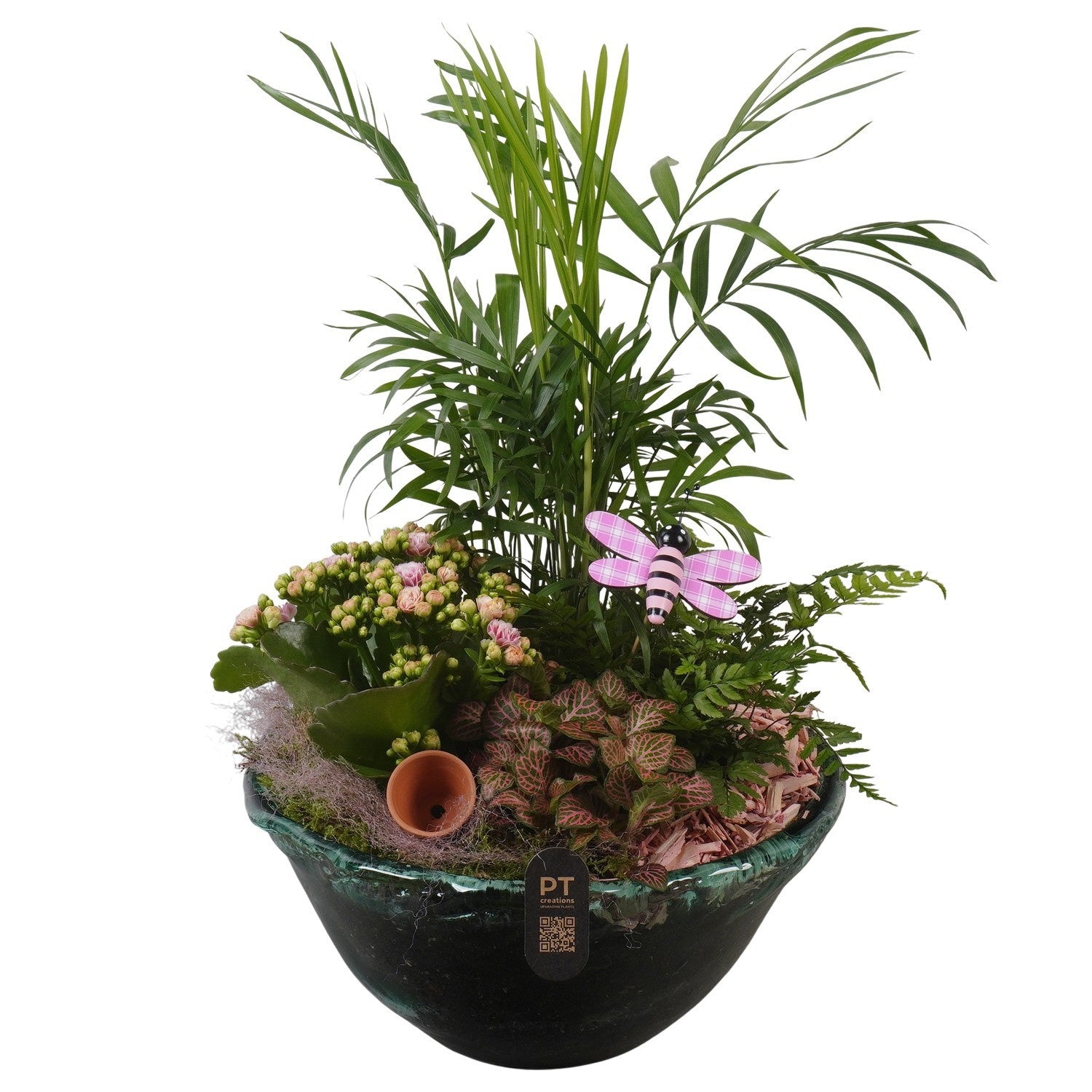 Indoor arrangement 44cm 26cm Pot