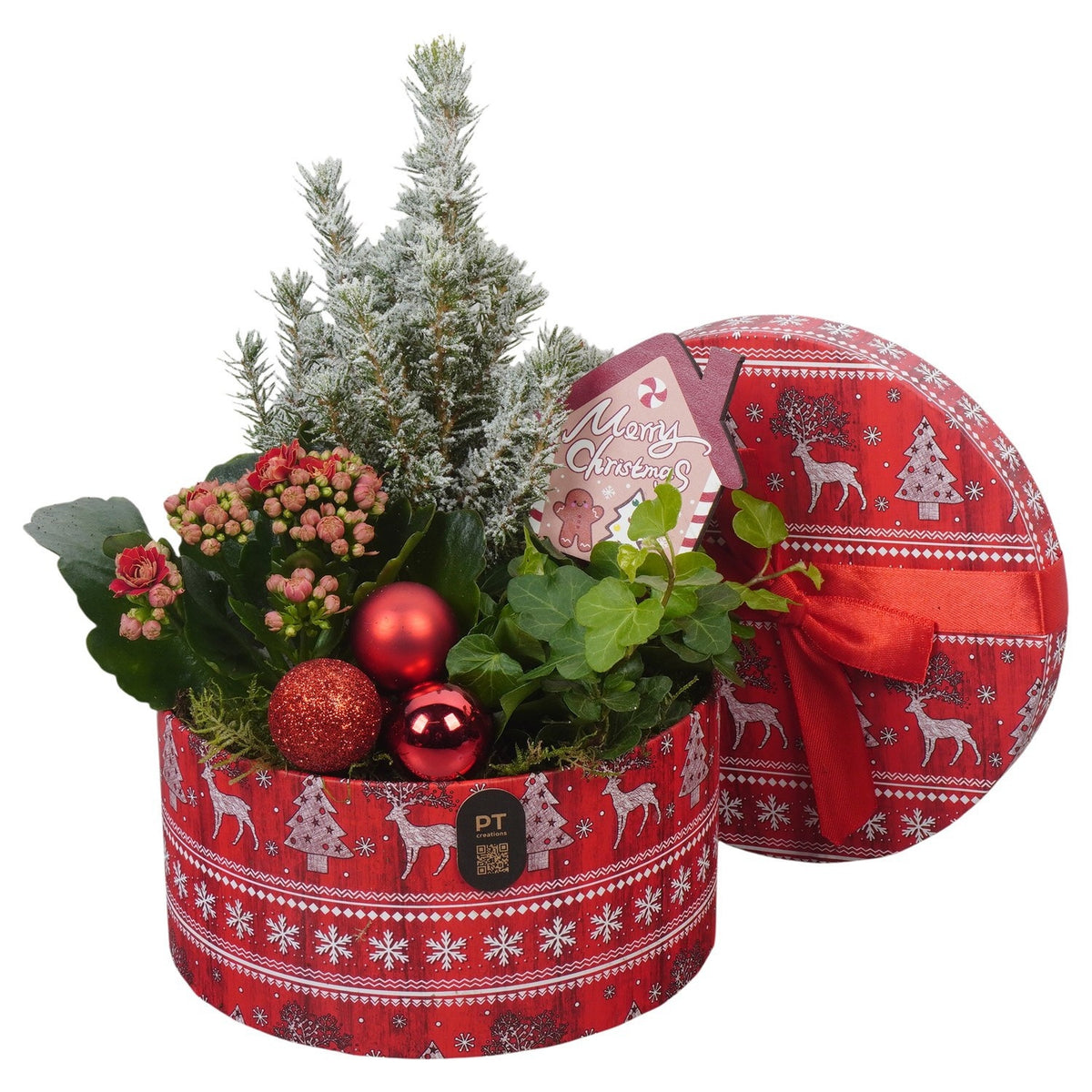 Christmas arrangement 27cm 17cm Pot