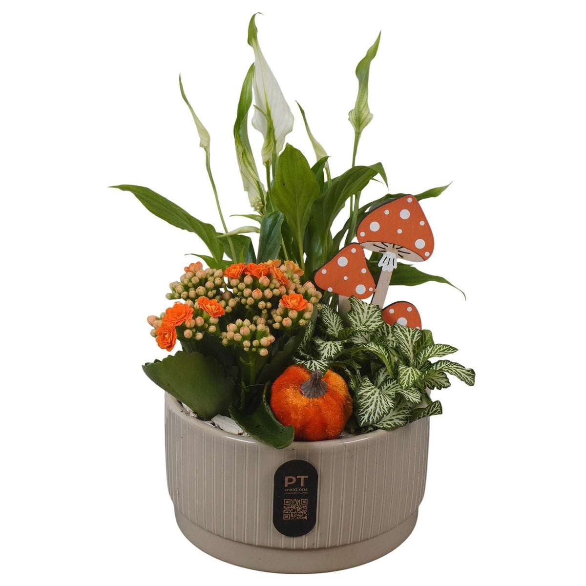 Indoor arrangement 30cm 16cm Pot