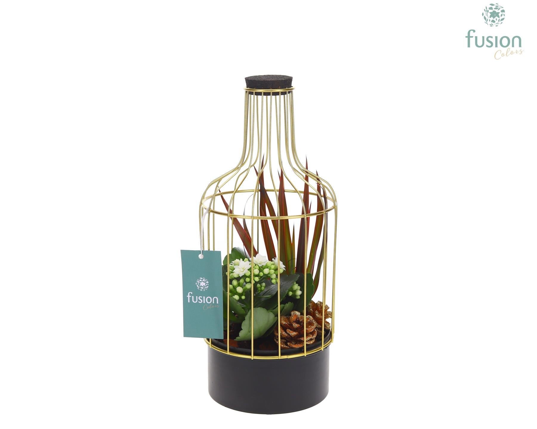 Fusioncolors BV Metalen fles zwart klein met Kerst arrangement Pack of 6