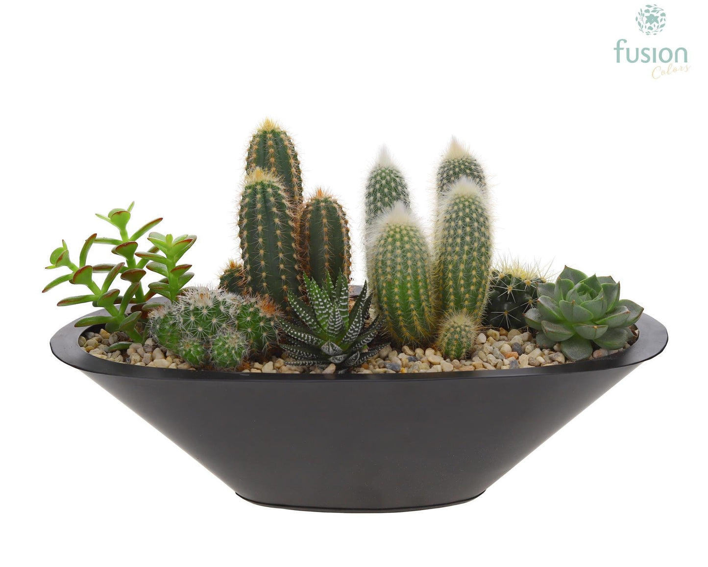Fusioncolors BV Schaal zink antraciet bootvorm pot met cactus en succulenten Pack of 2