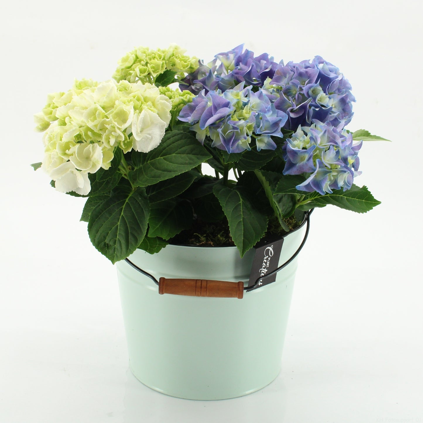 KHCR-2616M Hydrangea creations 35cm 21cm Pot