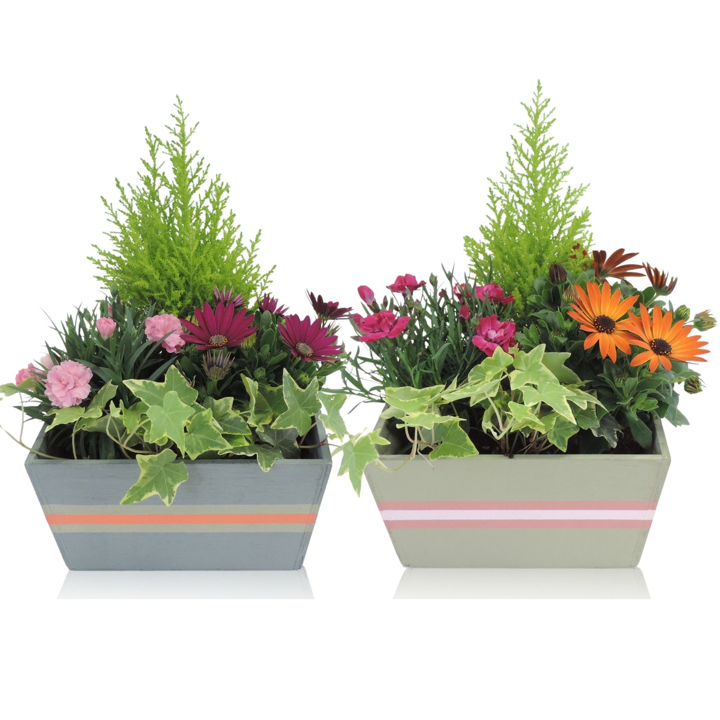 Outdoor arrangement 22cm 21cm Pot