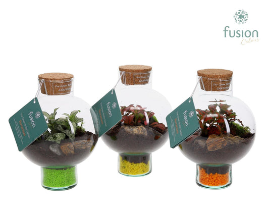 Green Bottle Laura XSmall met Terrarium arrangement 20cm 15cm Pot