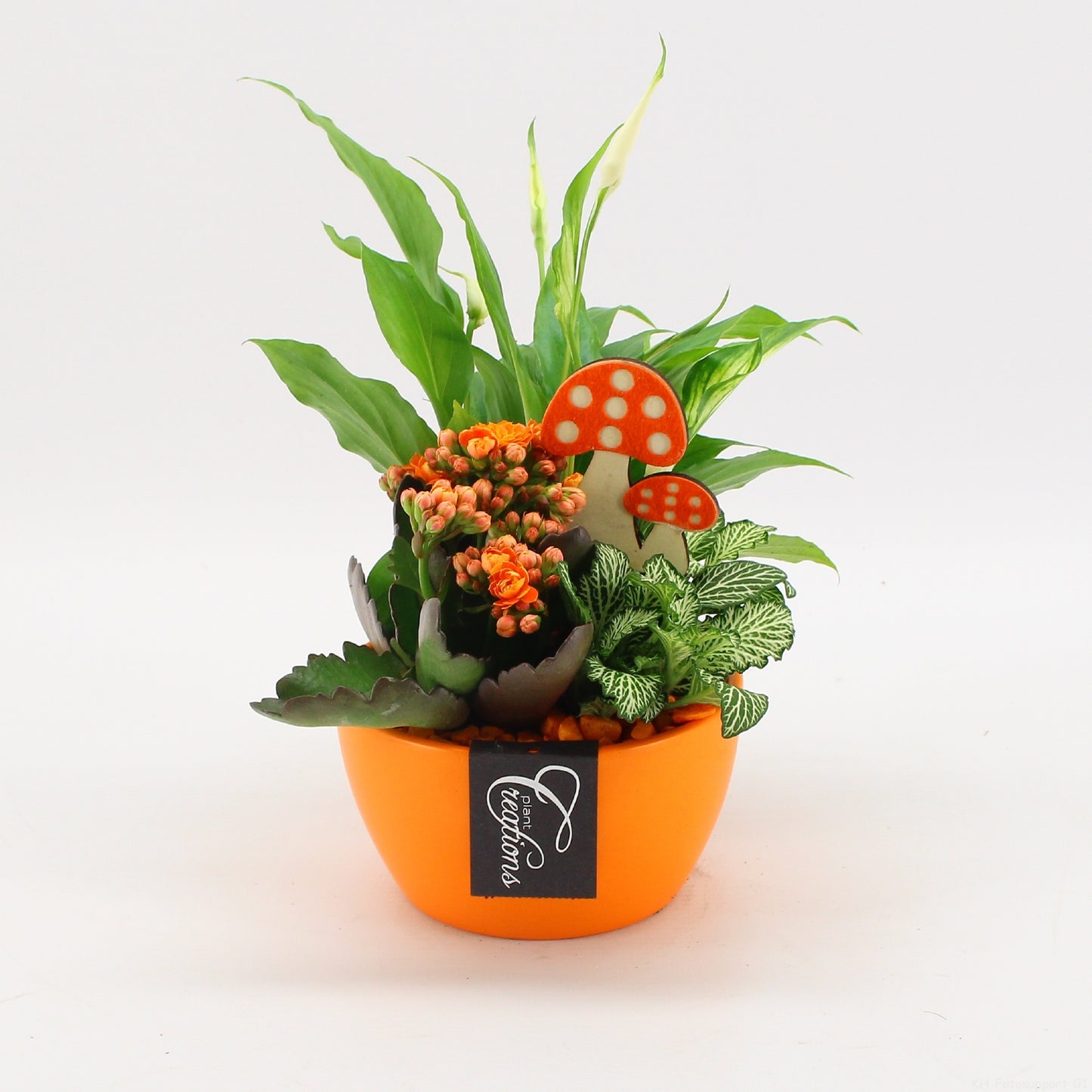 BHCR-2608 Autumn Fundamentals 30cm 14cm Pot