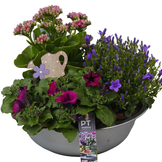 Outdoor arrangement 28cm 29cm Pot
