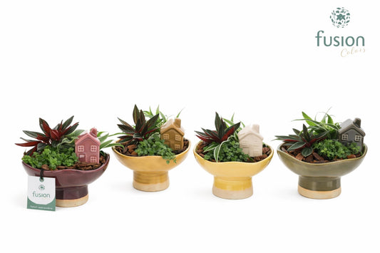 Keramiek schaal op voet Medium met Groenen planten 15cm 16cm Pot