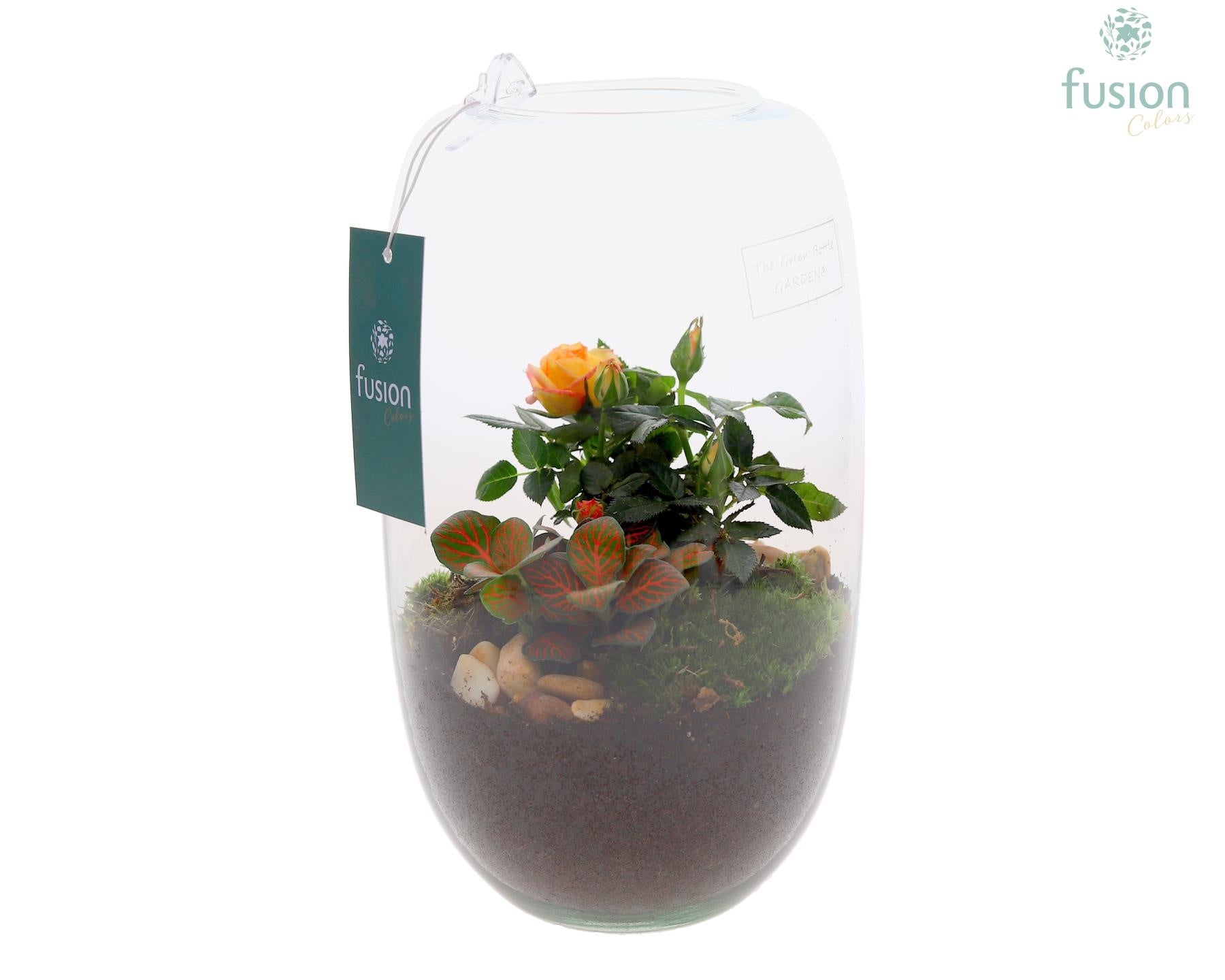 Green Bottle Isabella Medium met arrangement 25cm 15cm Pot