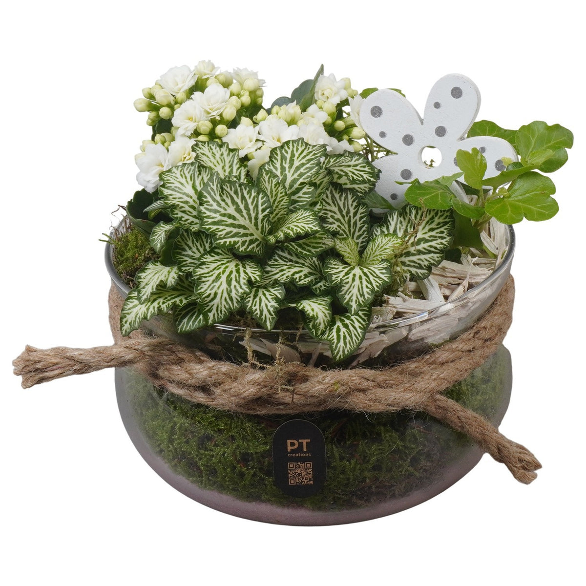 Indoor arrangement 17cm 16cm Pot