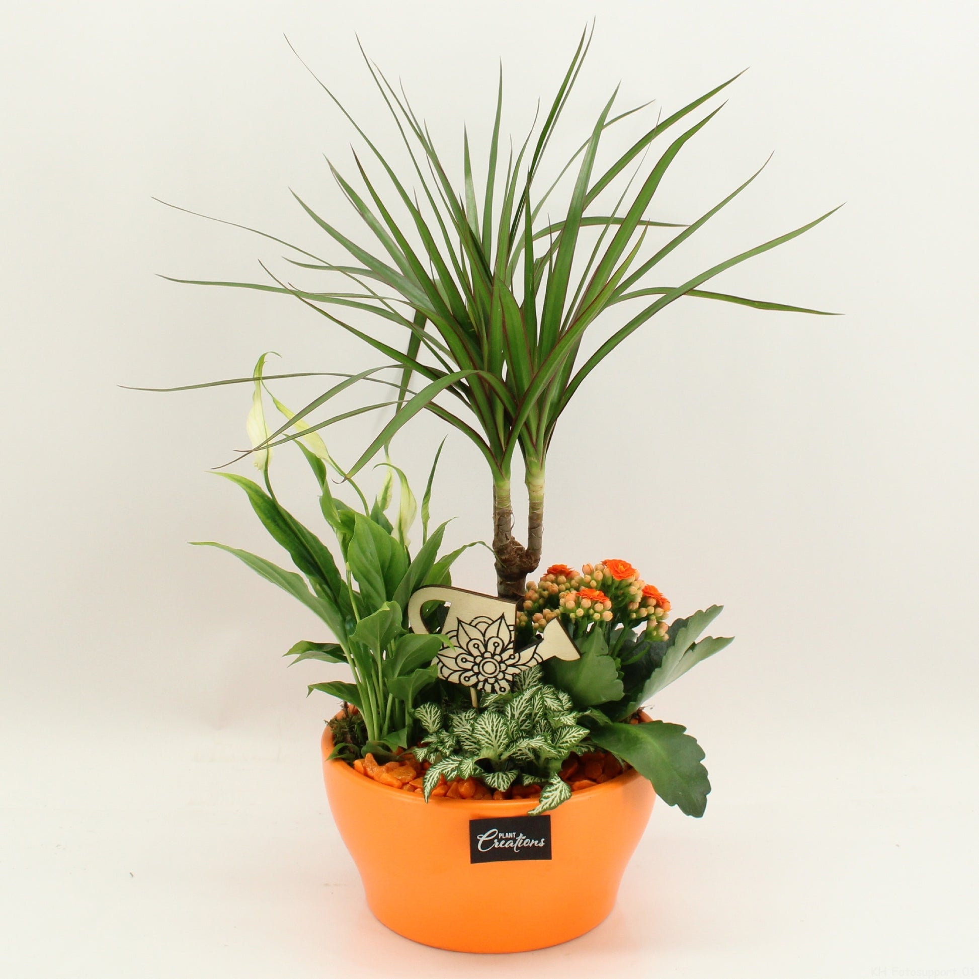 FDCR-2609OR Basic Fundamentals 45cm 19cm Pot