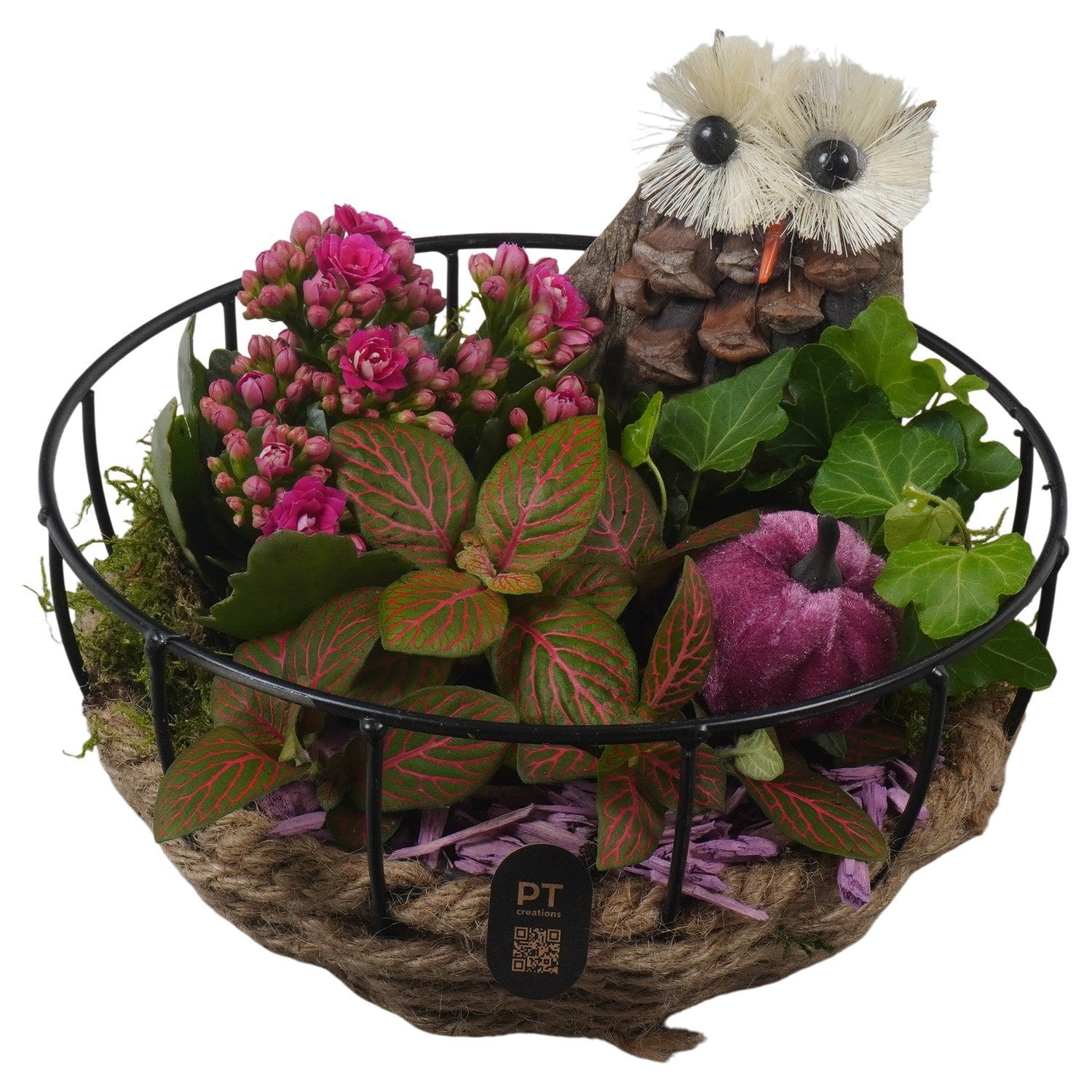 Indoor arrangement 19cm 20cm Pot