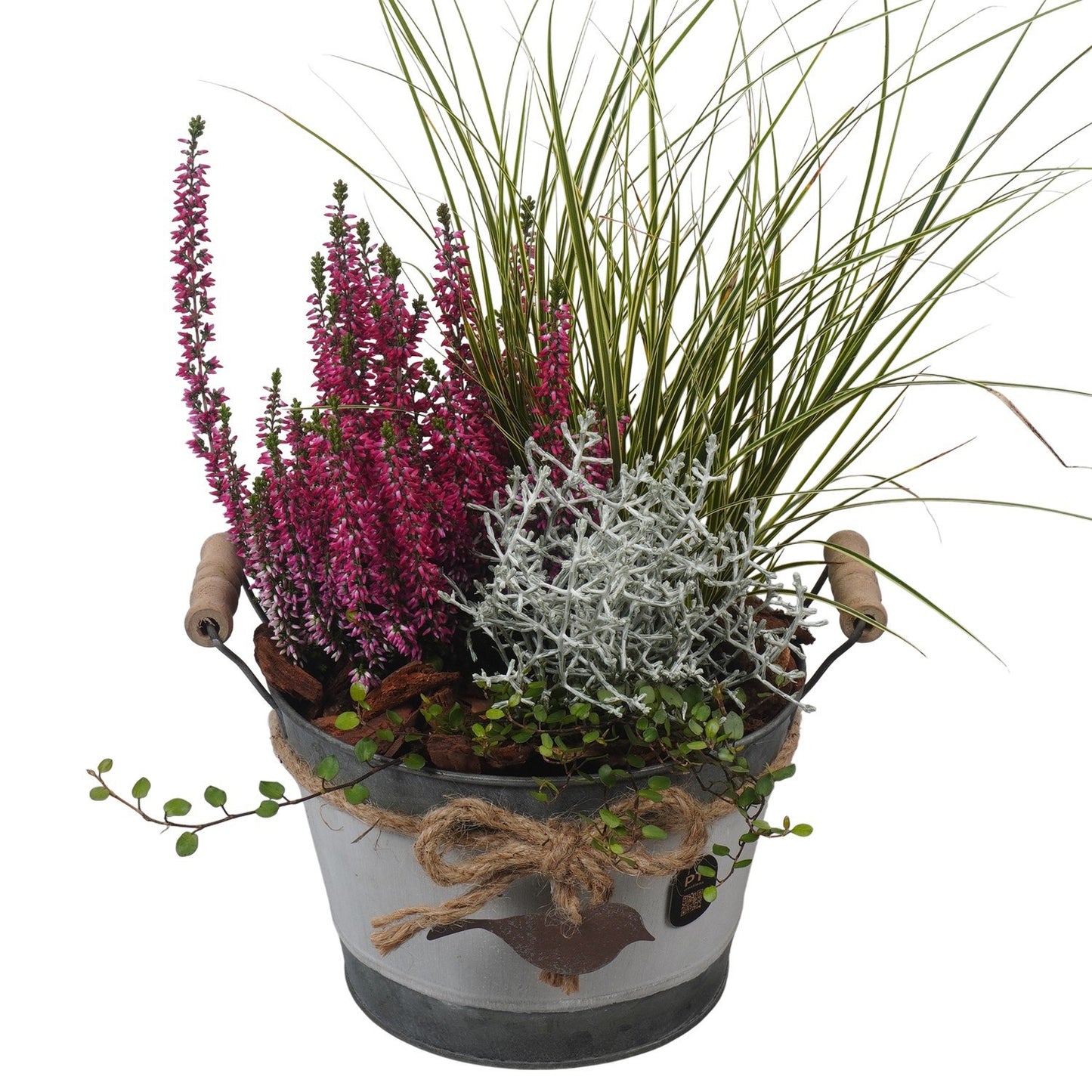 Outdoor arrangement 44cm 20cm Pot